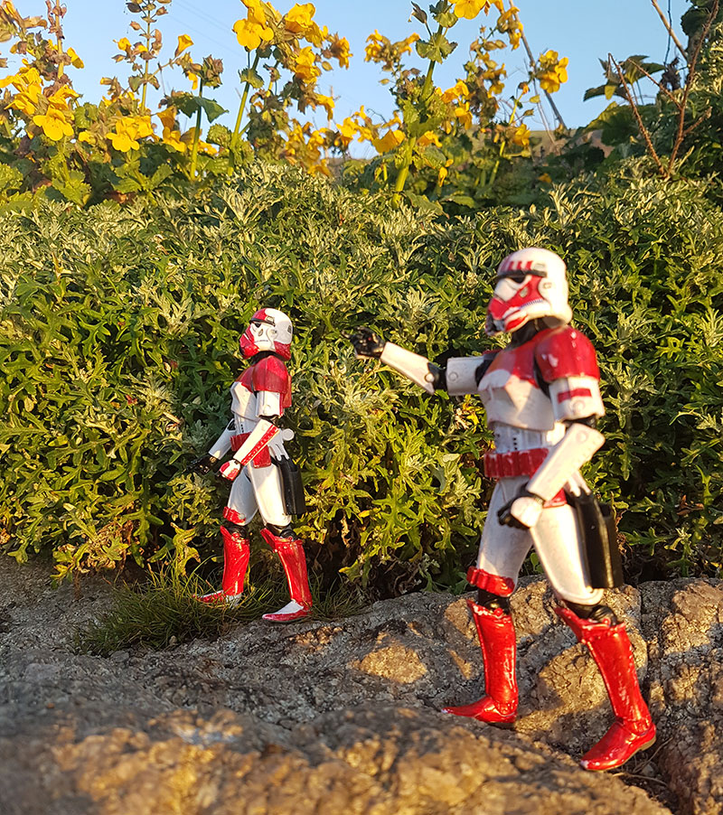 star wars shocktrooper figures